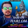 About Hari Om Hari Om Song